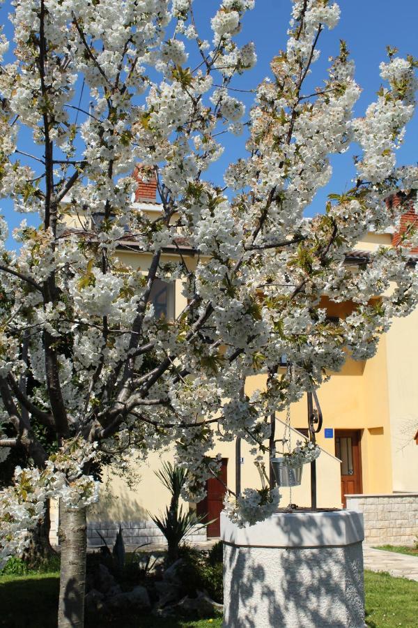 Apartment Dekovic Poreč Exteriér fotografie